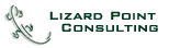 Lizard Point Consulting