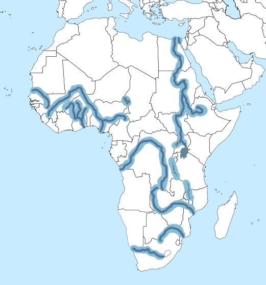 Africa Rivers Highlighted 