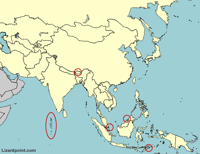 Countries of Asia (by shape) Quiz