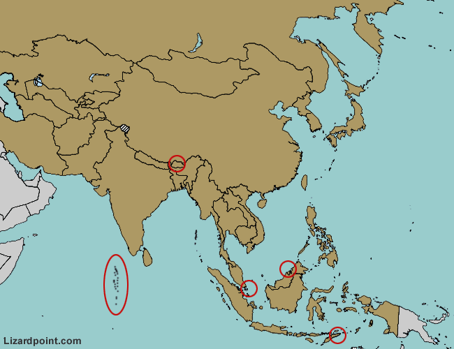 Country Flags On A Blank Map 4 - Asia Quiz - By mittudomain