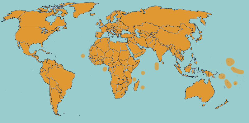 World Countries Orange 